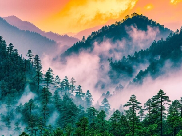 8 days trip to kashmir, swat and kaghan