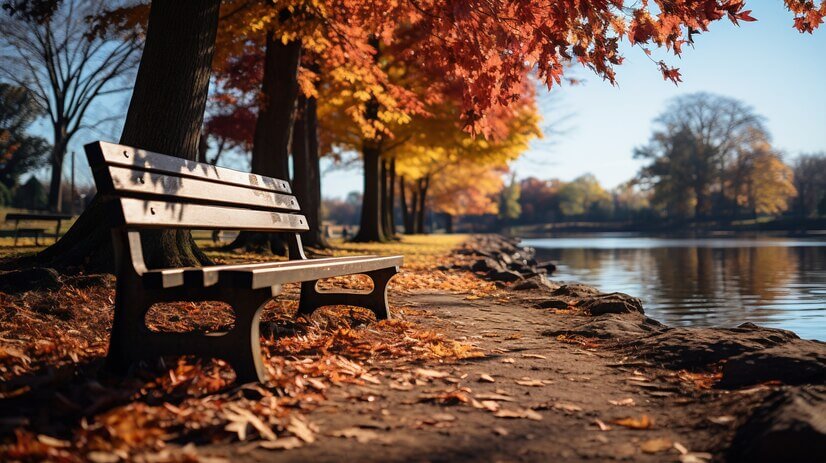 Maximizing Long Summer Days: Crafting the Ultimate Daily Routine