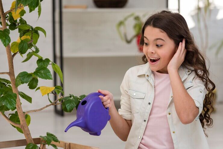 Your Complete Guide to Greenhouse Windows: Bringing the Sunshine In